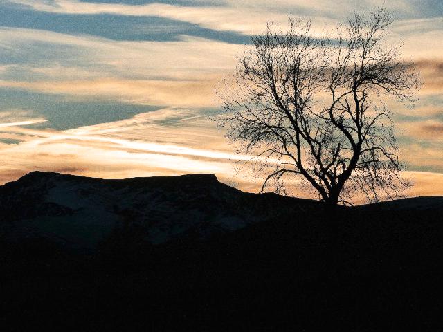 Writing in the Presence of Grief